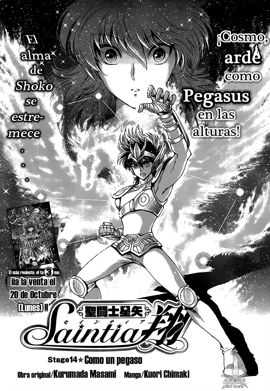Saint Seiya Saintia Sho Capítulo 14 en Línea - página 1