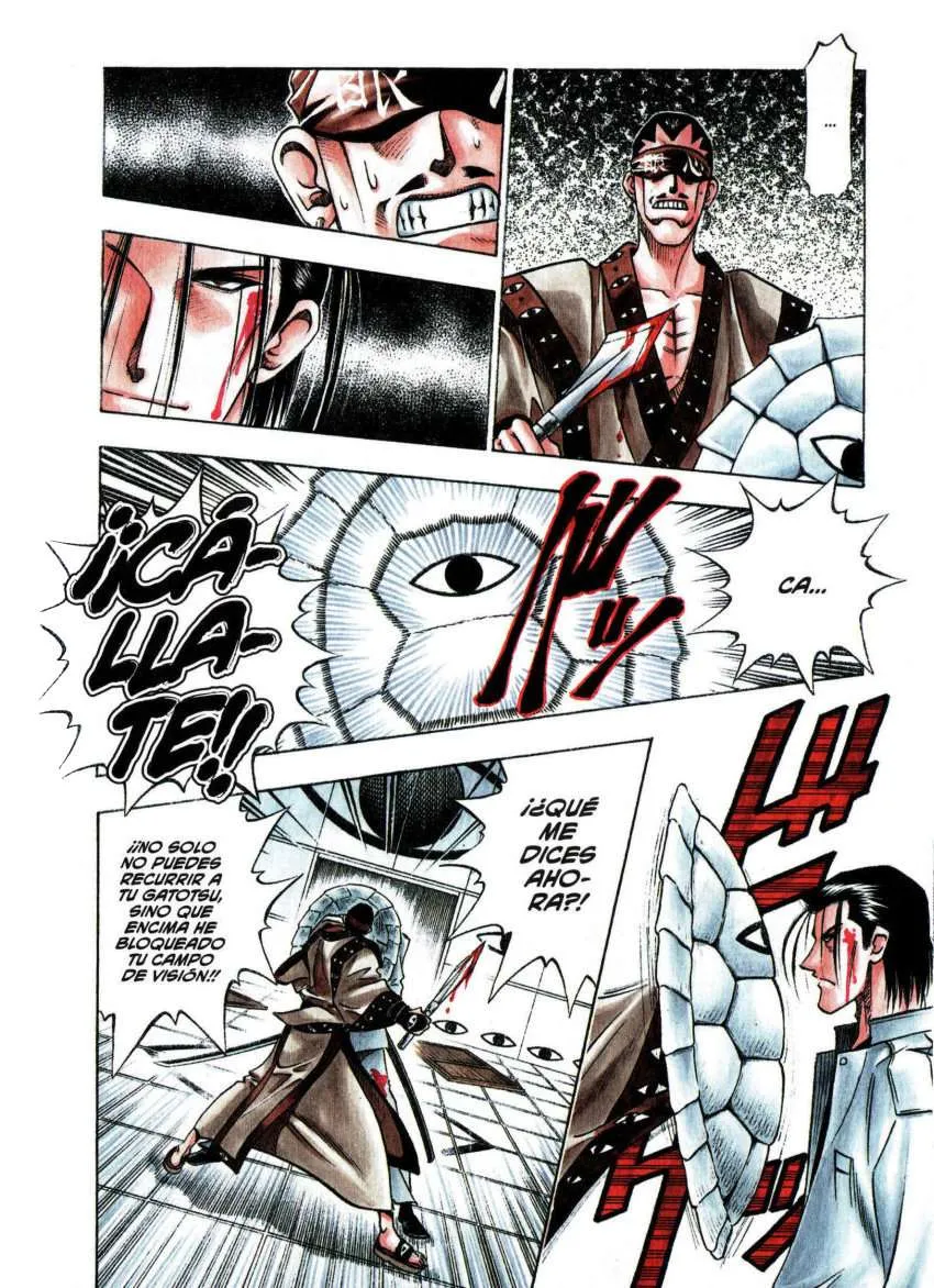 Samurai X Capítulo 114 en Línea - página 10