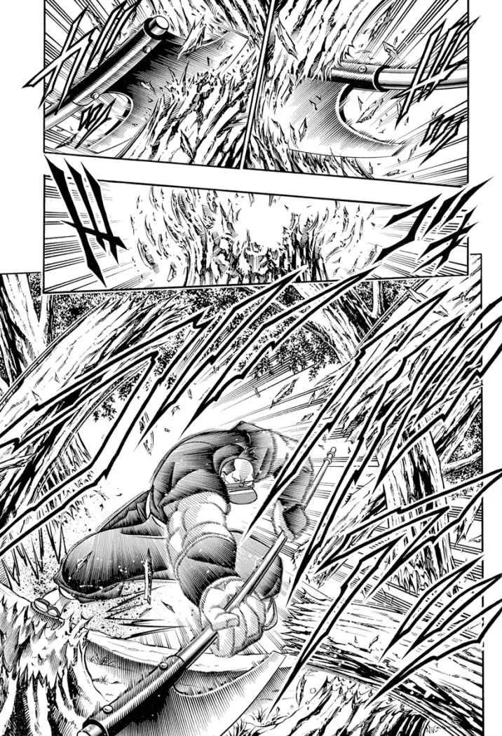 Samurai X Capítulo 176 en Línea - página 14