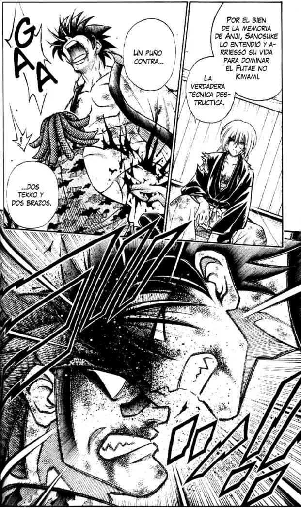 Samurai X Capítulo 193 en Línea - página 14