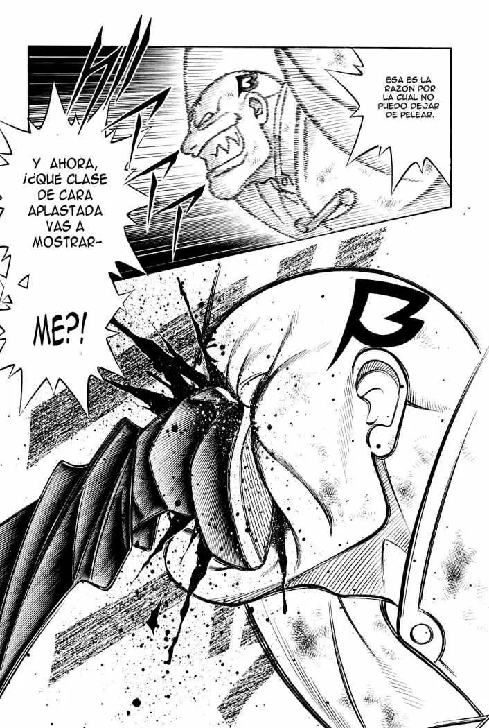 Samurai X Capítulo 240 en Línea - página 11