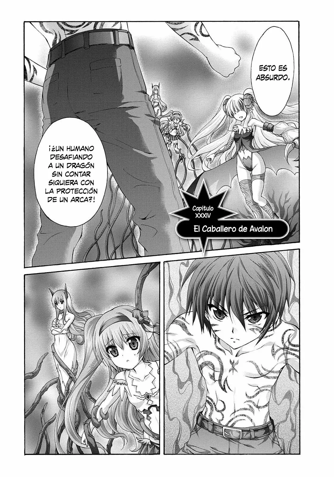 Seikoku no Dragonar Capítulo 34 en Línea - página 1