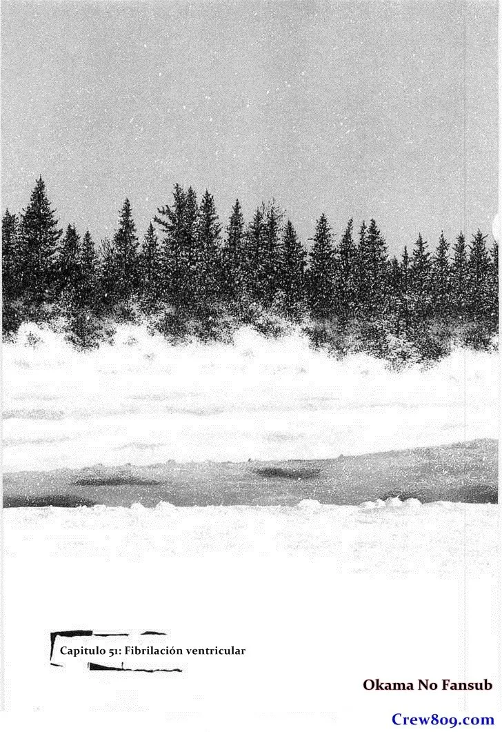 Shamo Capítulo 251 en Línea - página 1