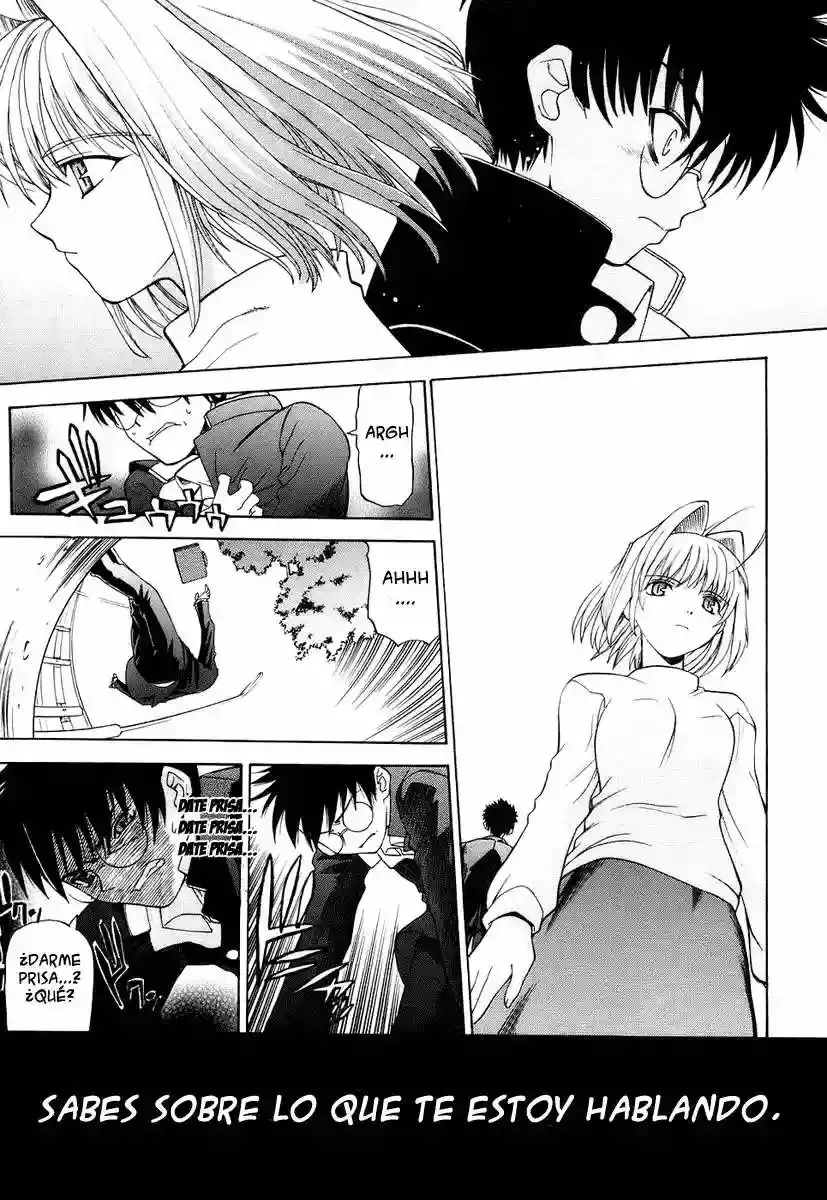 Shingetsutan Tsukihime Capítulo 1 en Línea - página 20