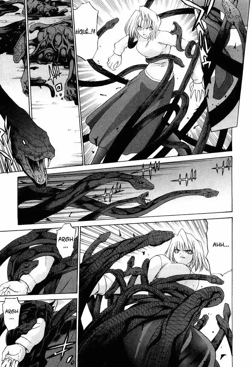 Shingetsutan Tsukihime Capítulo 11 en Línea - página 17