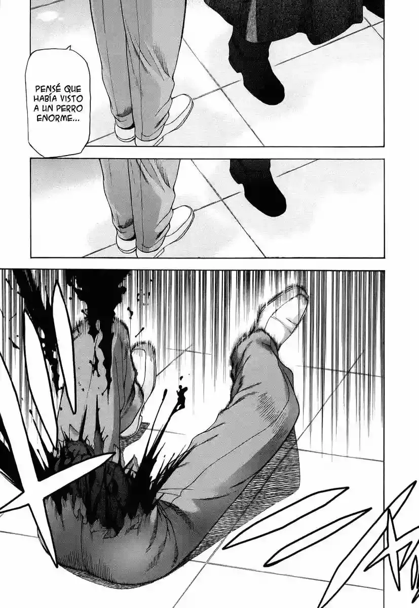 Shingetsutan Tsukihime Capítulo 5 en Línea - página 13