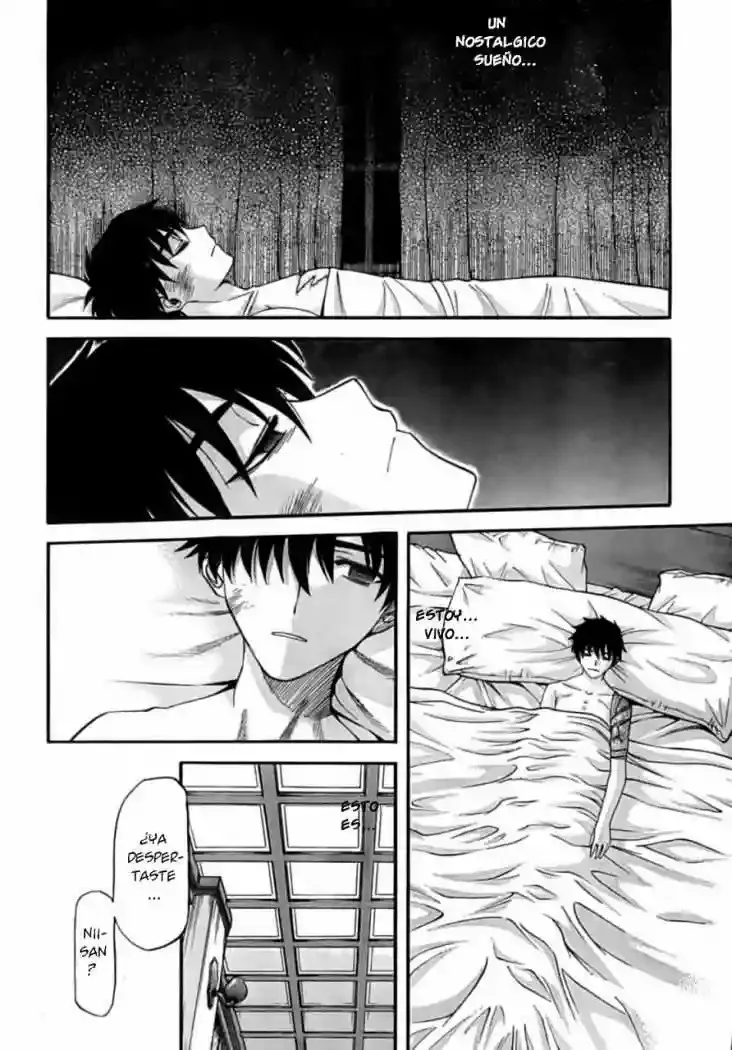 Shingetsutan Tsukihime Capítulo 61 en Línea - página 33