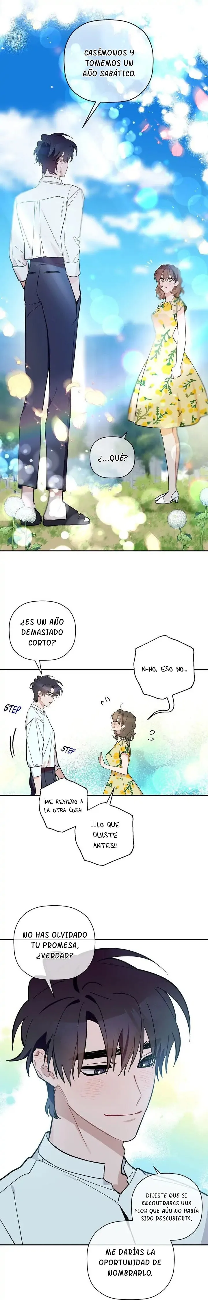 Te regalaré flores Capítulo 65 en Línea - página 17