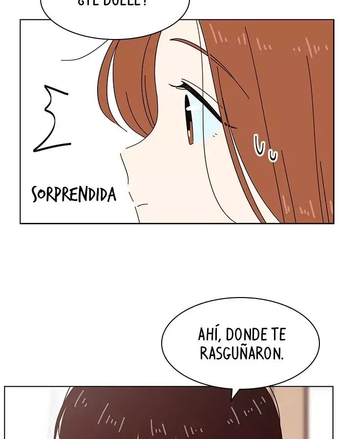 temporada de flores Capítulo 27 en Línea - página 72