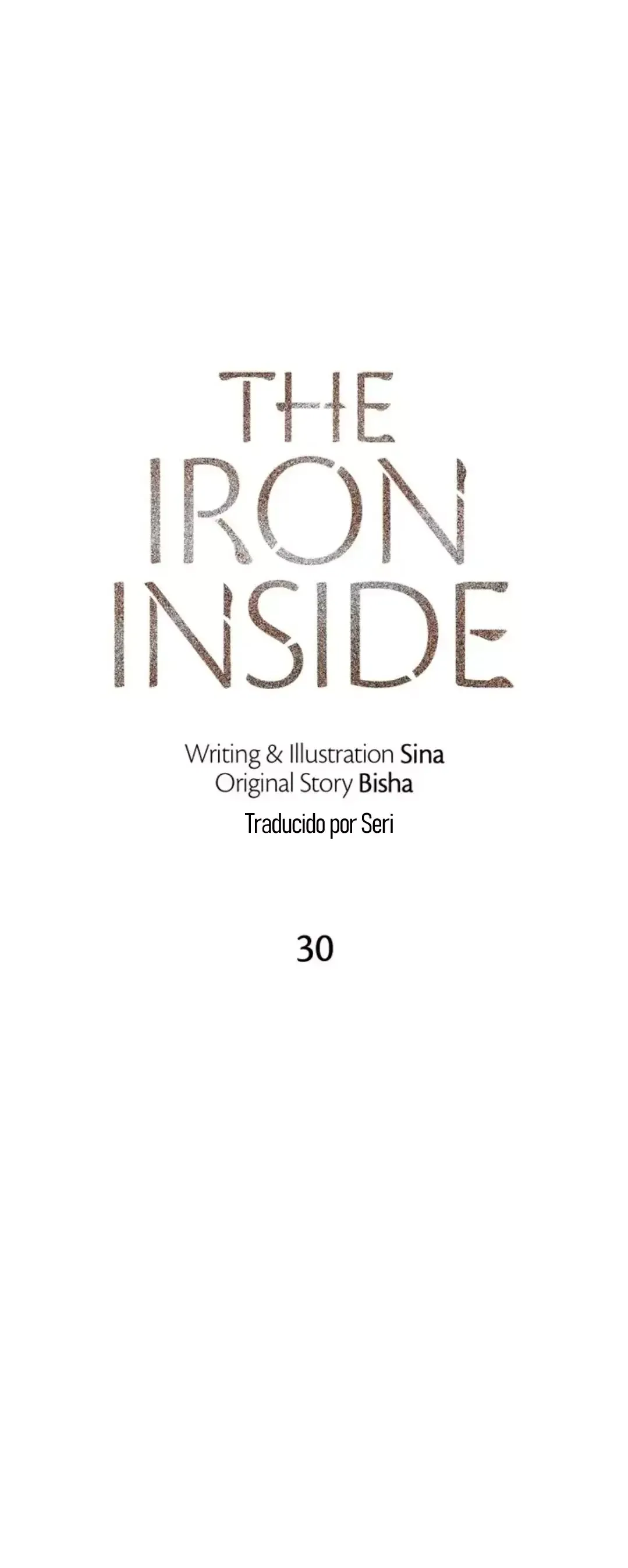 The Iron Inside Capítulo 31 en Línea - página 13