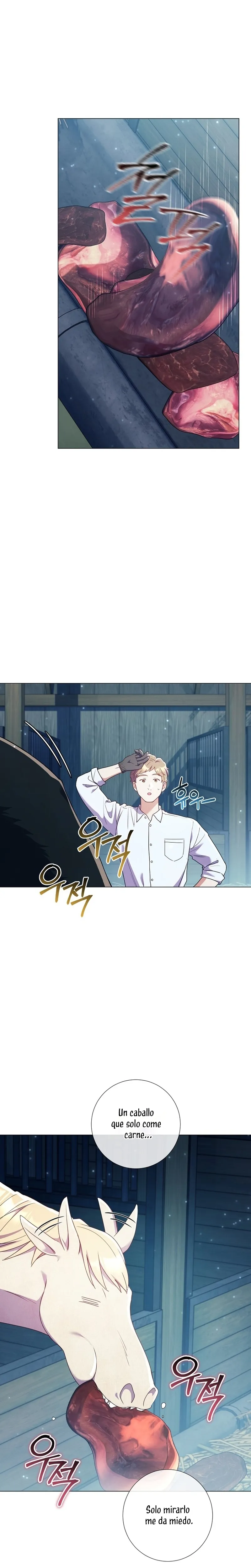 Todavía No Estamos Casados Su Majestad, ¿Qué Tipo De Divorcio Es Este? Capítulo 24 en Línea - página 18