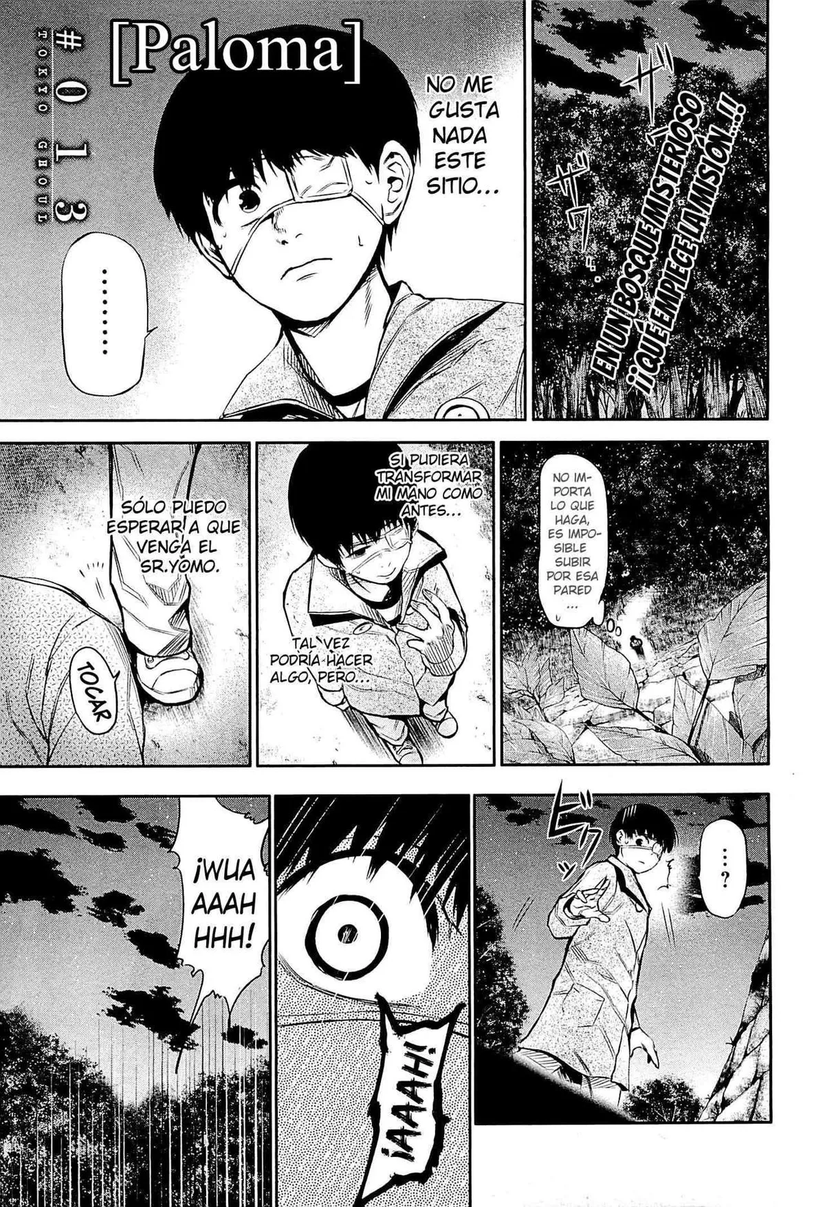 Tokyo Ghoul Capítulo 13 en Línea - página 1
