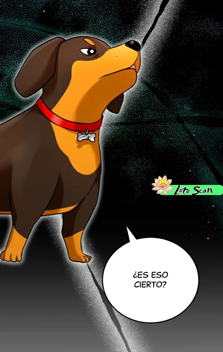 ¡Veterinario! ¿Hola? Capítulo 0 en Línea - página 3