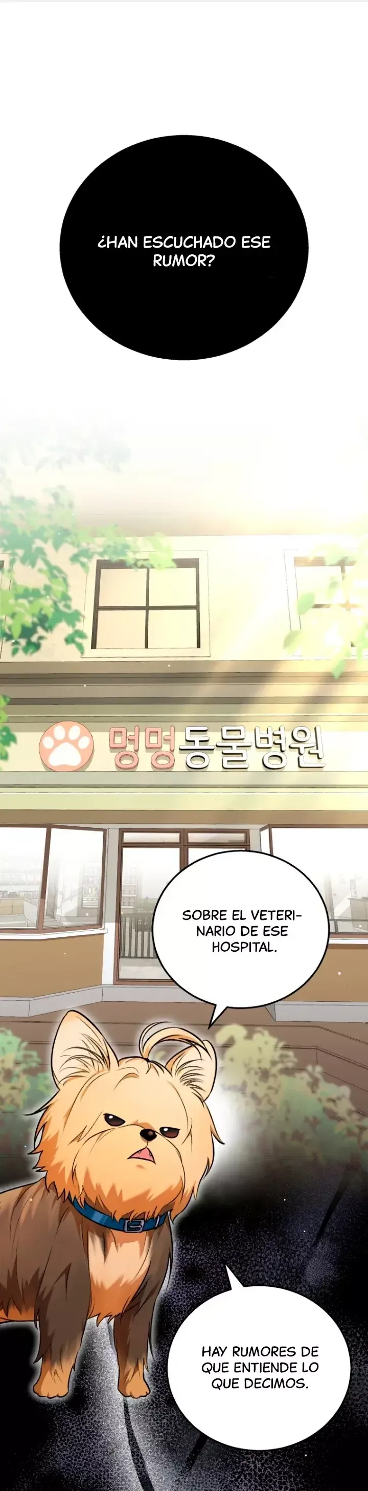 ¡Veterinario! ¿Hola? Capítulo 1 en Línea - página 2