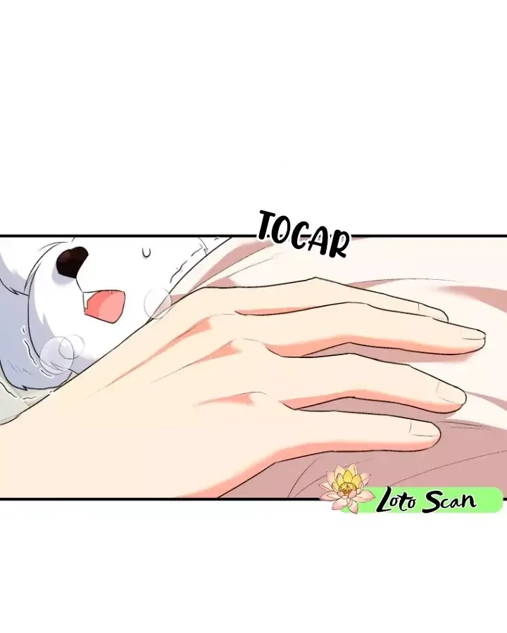 ¡Veterinario! ¿Hola? Capítulo 1 en Línea - página 28