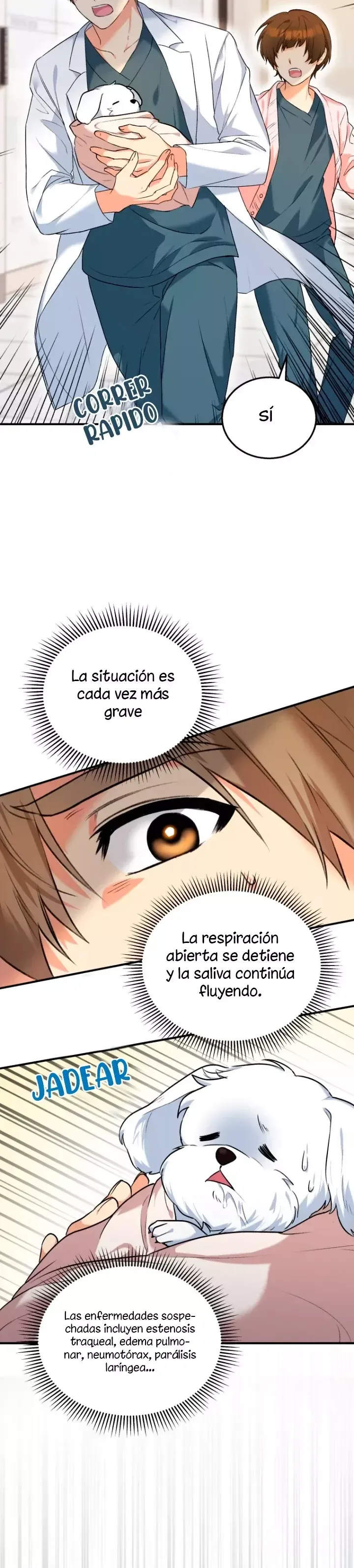 ¡Veterinario! ¿Hola? Capítulo 1 en Línea - página 31