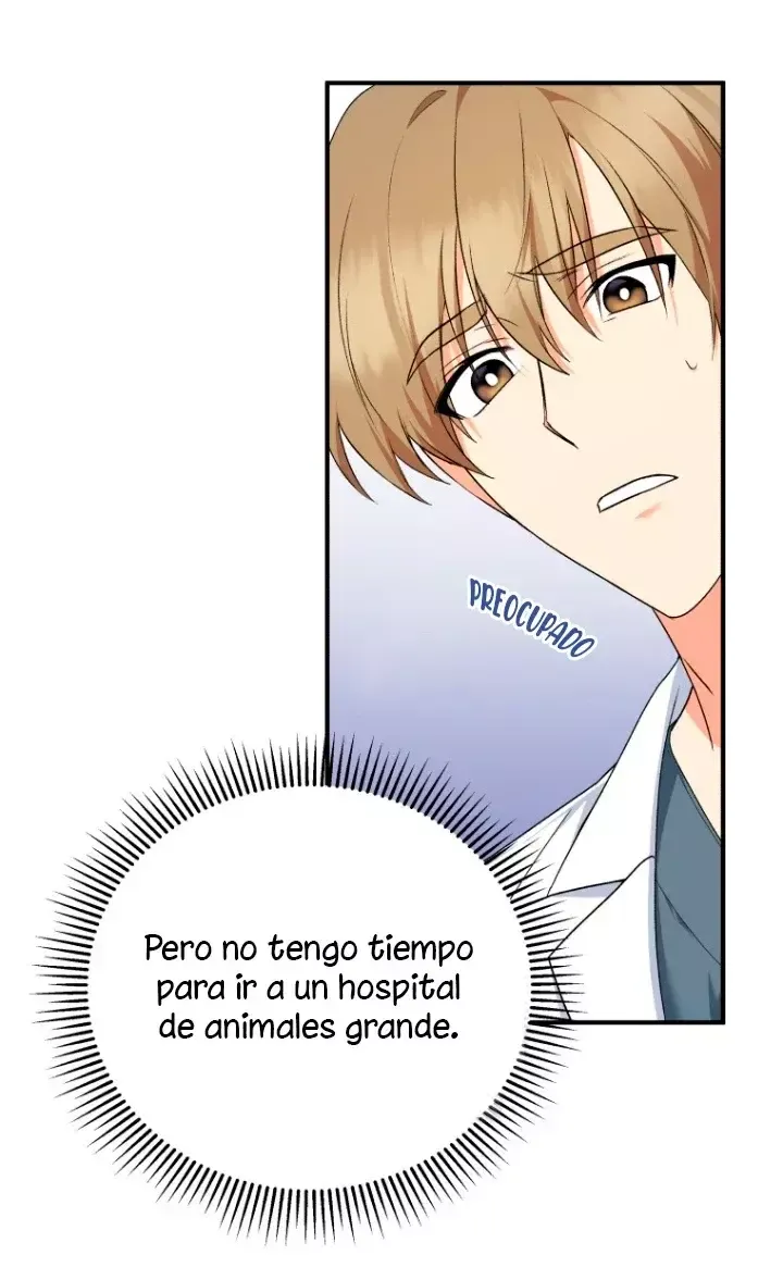 ¡Veterinario! ¿Hola? Capítulo 1 en Línea - página 33