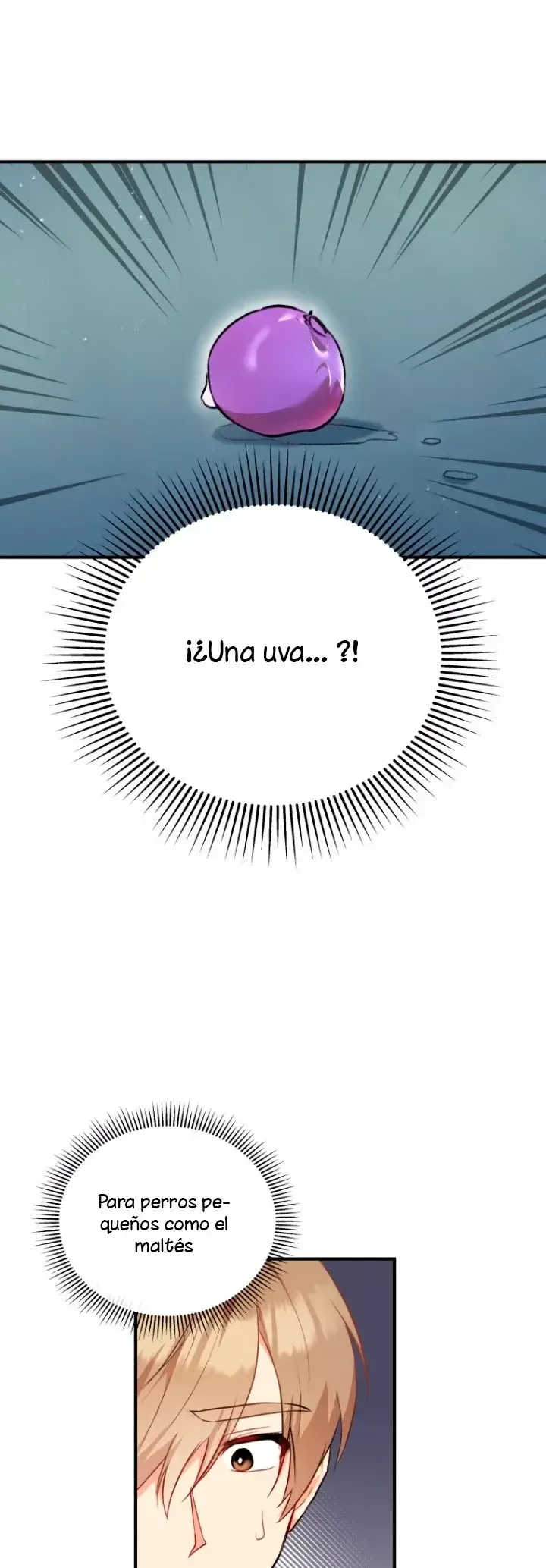 ¡Veterinario! ¿Hola? Capítulo 1 en Línea - página 41