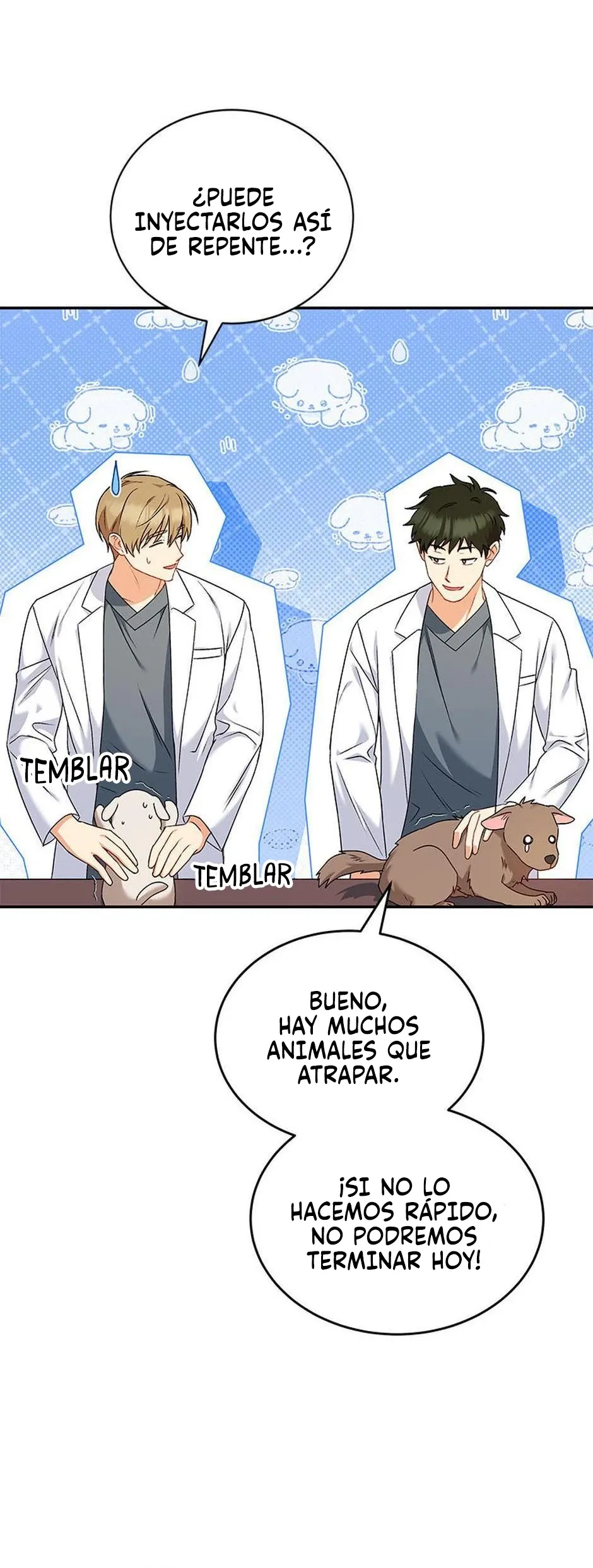¡Veterinario! ¿Hola? Capítulo 16 en Línea - página 34