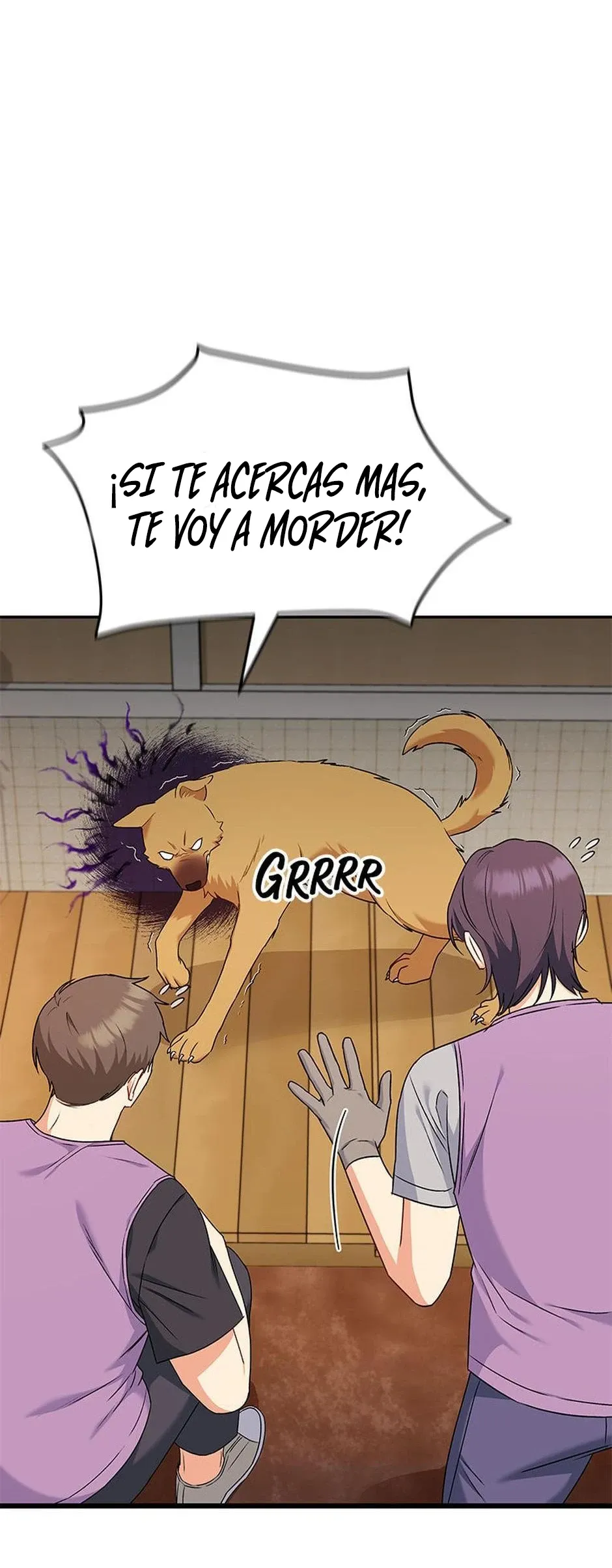 ¡Veterinario! ¿Hola? Capítulo 16 en Línea - página 40
