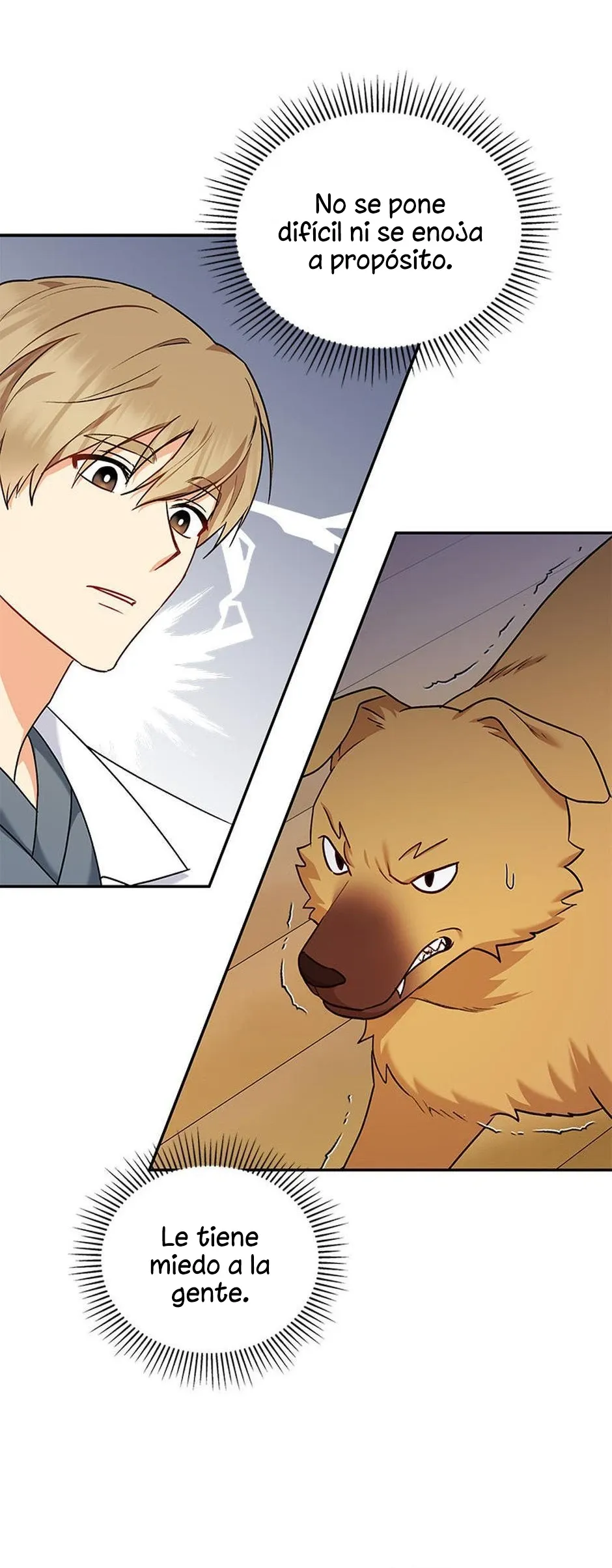 ¡Veterinario! ¿Hola? Capítulo 16 en Línea - página 42