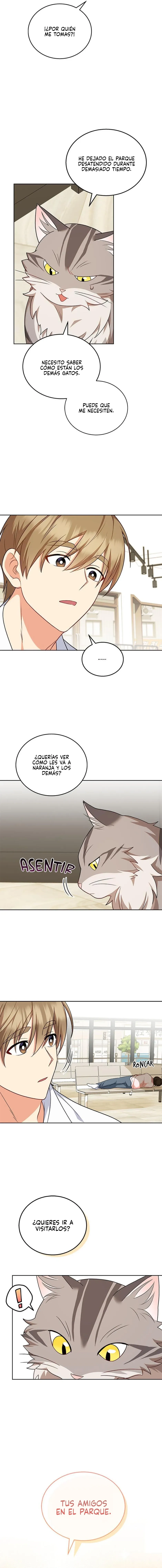 ¡Veterinario! ¿Hola? Capítulo 21 en Línea - página 5
