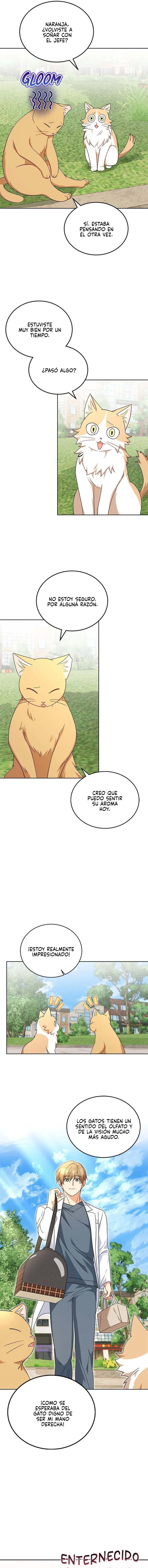 ¡Veterinario! ¿Hola? Capítulo 21 en Línea - página 8