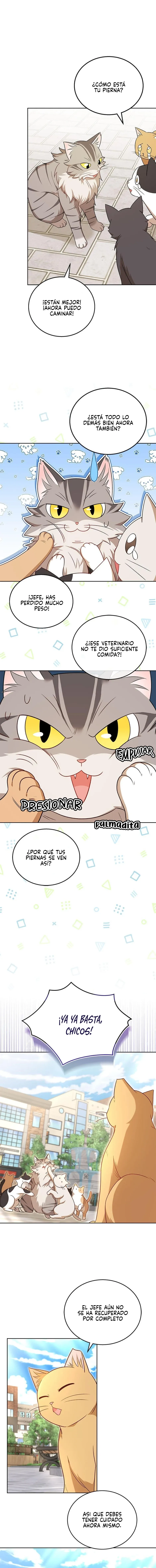 ¡Veterinario! ¿Hola? Capítulo 21 en Línea - página 10