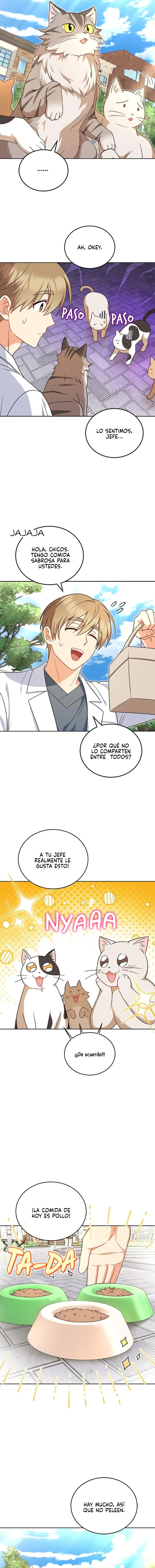 ¡Veterinario! ¿Hola? Capítulo 21 en Línea - página 11