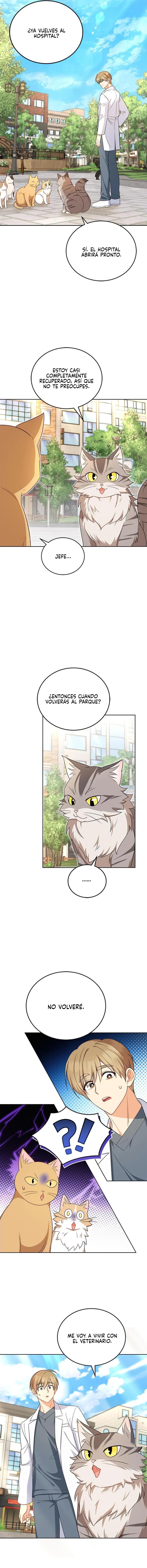 ¡Veterinario! ¿Hola? Capítulo 21 en Línea - página 12