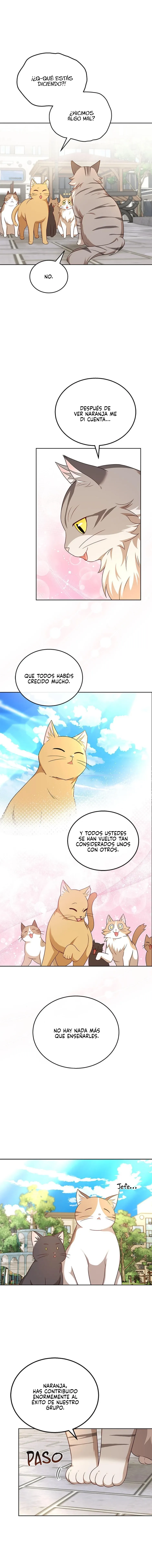 ¡Veterinario! ¿Hola? Capítulo 21 en Línea - página 13