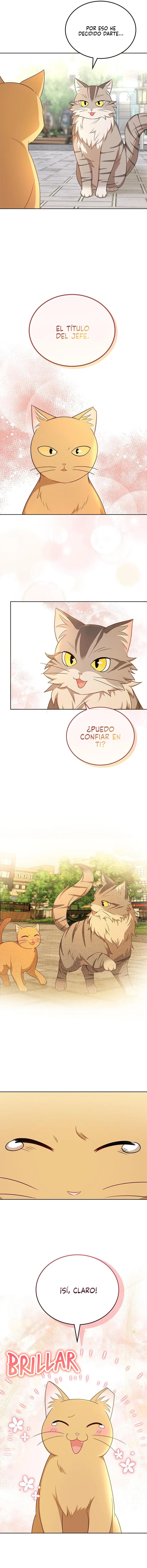 ¡Veterinario! ¿Hola? Capítulo 21 en Línea - página 14