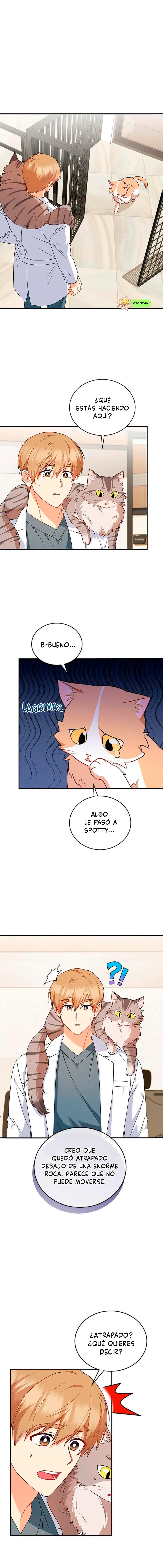 ¡Veterinario! ¿Hola? Capítulo 25 en Línea - página 2