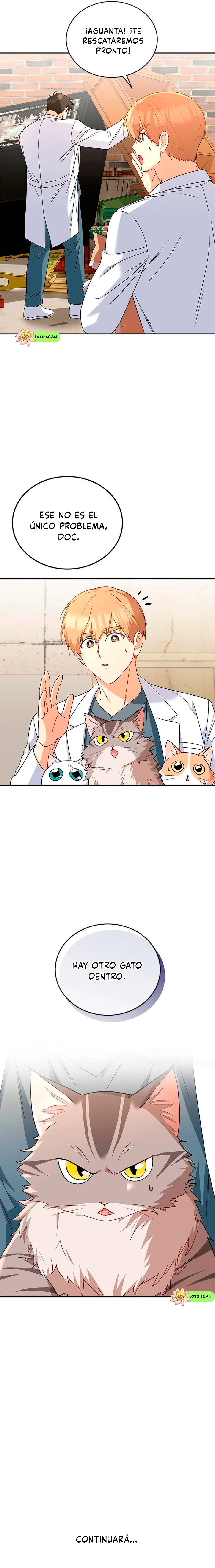 ¡Veterinario! ¿Hola? Capítulo 25 en Línea - página 13
