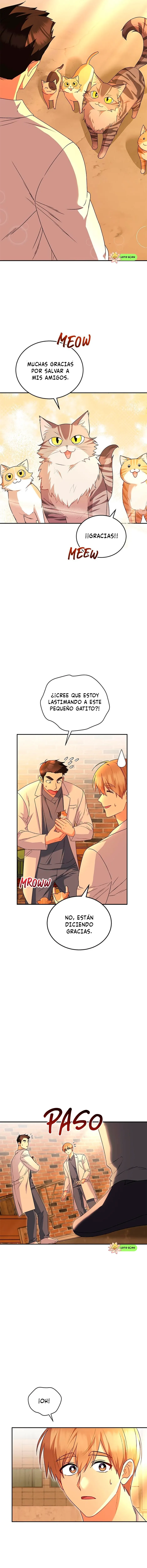 ¡Veterinario! ¿Hola? Capítulo 26 en Línea - página 13