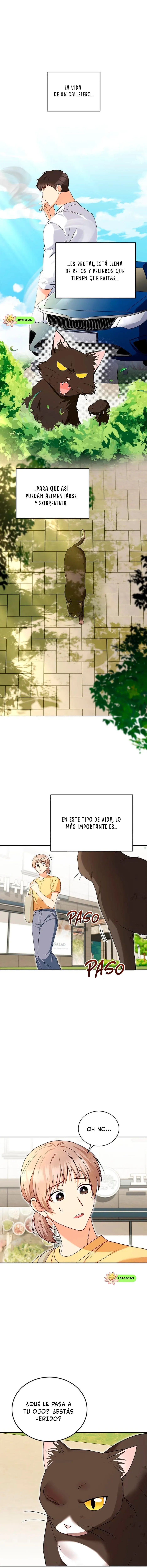 ¡Veterinario! ¿Hola? Capítulo 27 en Línea - página 2