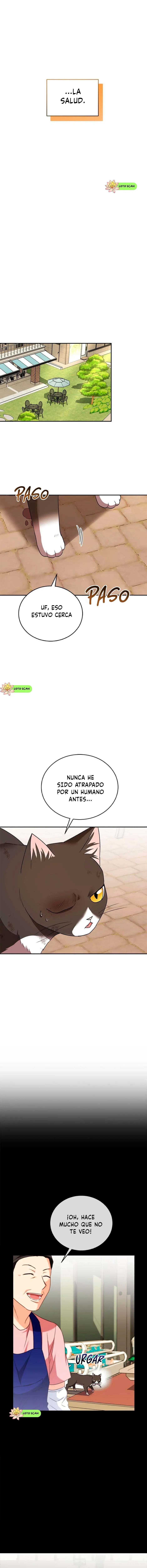 ¡Veterinario! ¿Hola? Capítulo 27 en Línea - página 3