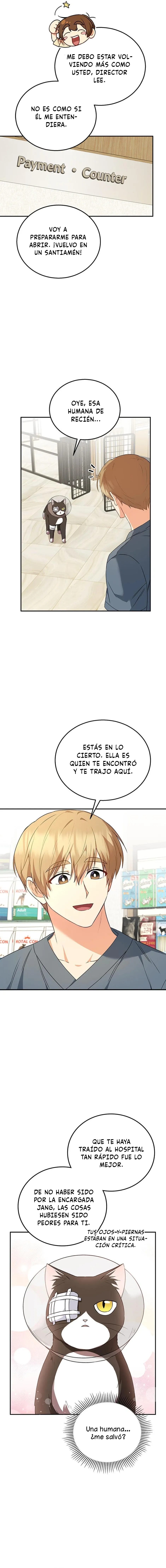 ¡Veterinario! ¿Hola? Capítulo 28 en Línea - página 5