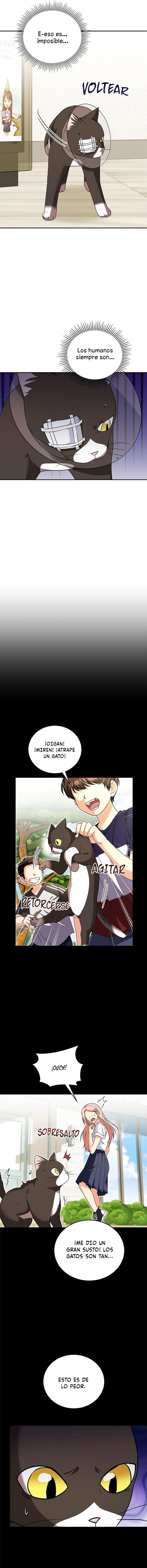 ¡Veterinario! ¿Hola? Capítulo 28 en Línea - página 6