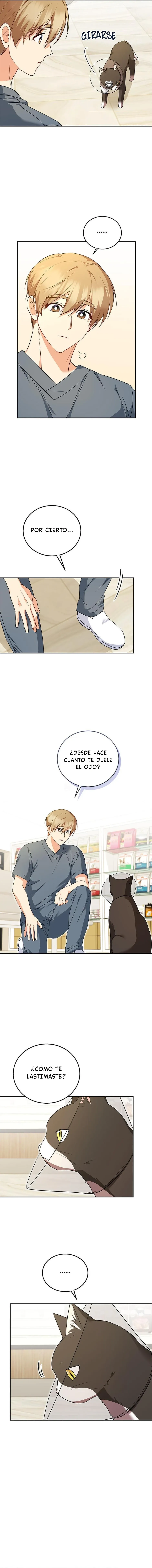 ¡Veterinario! ¿Hola? Capítulo 28 en Línea - página 8