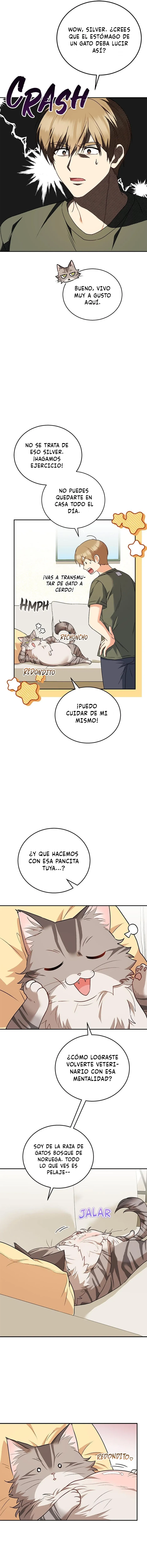 ¡Veterinario! ¿Hola? Capítulo 28 en Línea - página 11