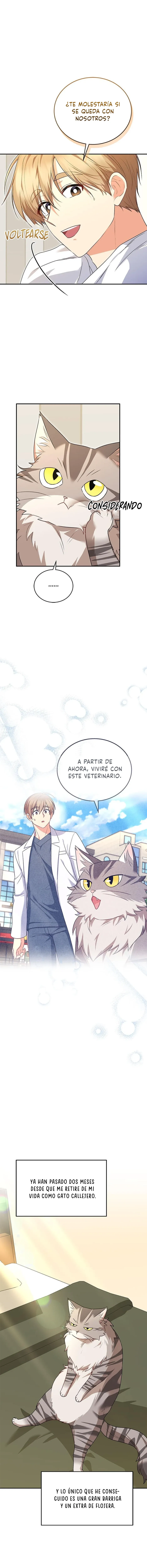 ¡Veterinario! ¿Hola? Capítulo 30 en Línea - página 4