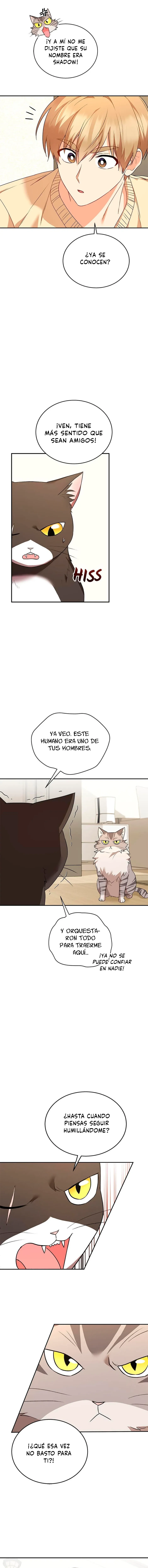 ¡Veterinario! ¿Hola? Capítulo 30 en Línea - página 10