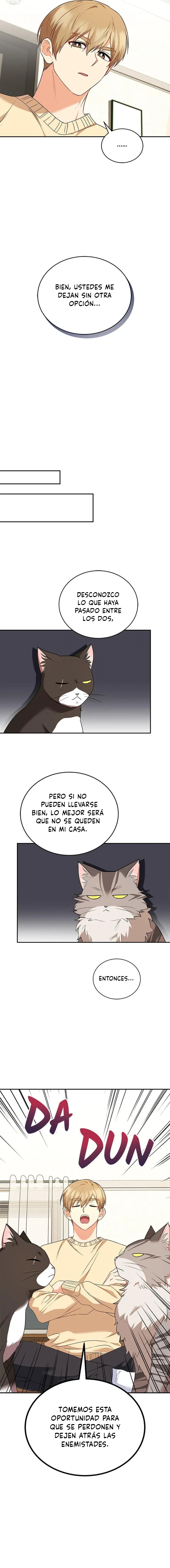 ¡Veterinario! ¿Hola? Capítulo 30 en Línea - página 11