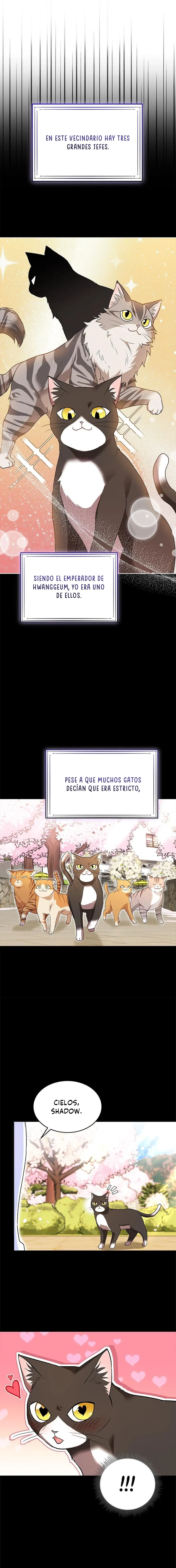¡Veterinario! ¿Hola? Capítulo 30 en Línea - página 13