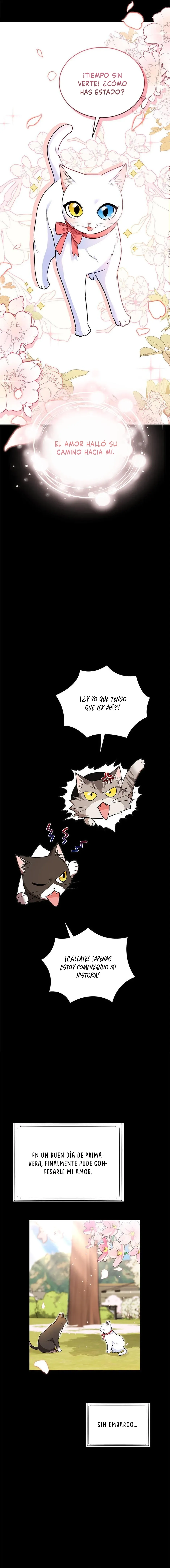 ¡Veterinario! ¿Hola? Capítulo 30 en Línea - página 14