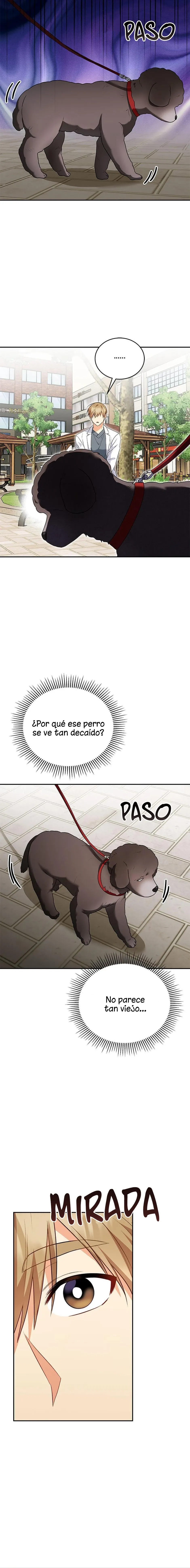 ¡Veterinario! ¿Hola? Capítulo 31 en Línea - página 9