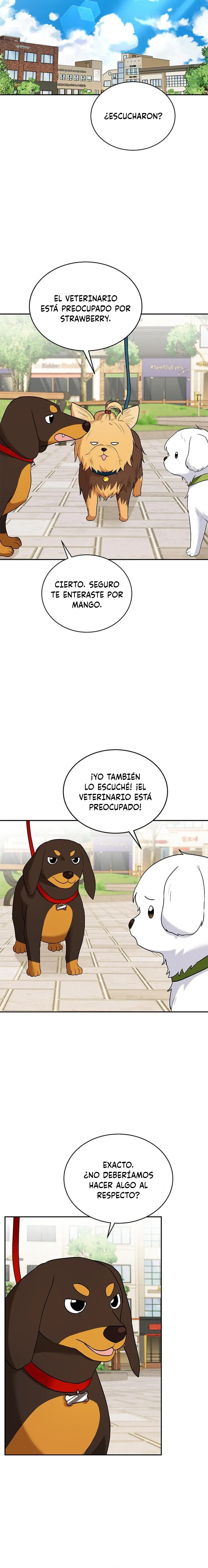 ¡Veterinario! ¿Hola? Capítulo 31 en Línea - página 15