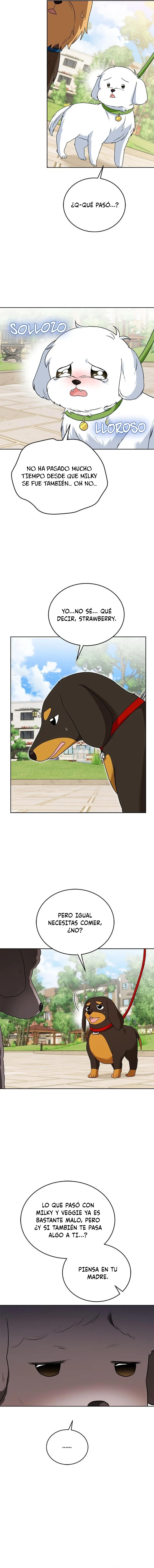 ¡Veterinario! ¿Hola? Capítulo 32 en Línea - página 13