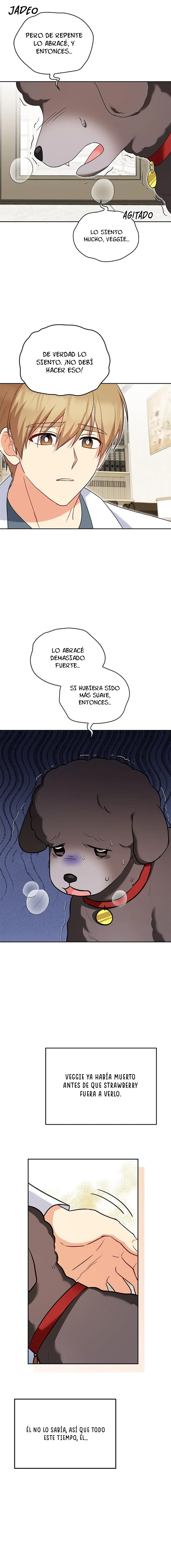 ¡Veterinario! ¿Hola? Capítulo 34 en Línea - página 8